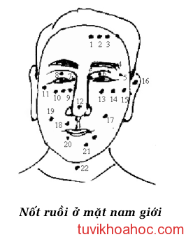 not ruoi nam Ý nghĩa nốt ruồi ở nam giới va nữ giới