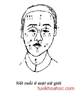not ruoi nu Ý nghĩa nốt ruồi ở nam giới va nữ giới