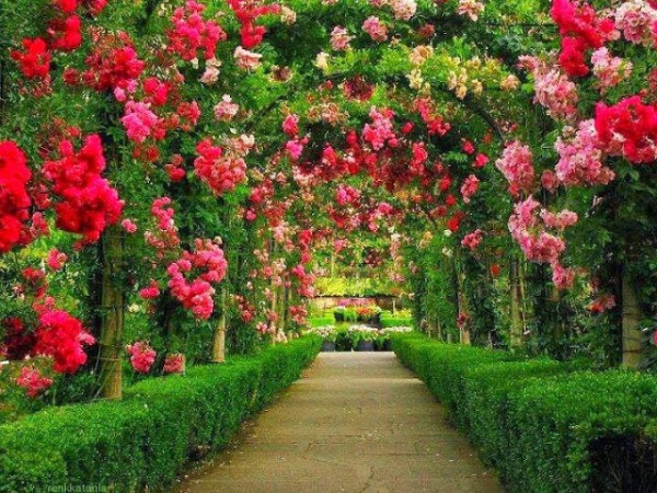 khu vuon mua xuan dep 2 600x450 Ý tưởng trang trí vườn mang hơi thở mùa xuân